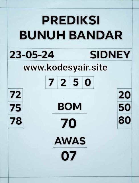SYAIR SDY VIP